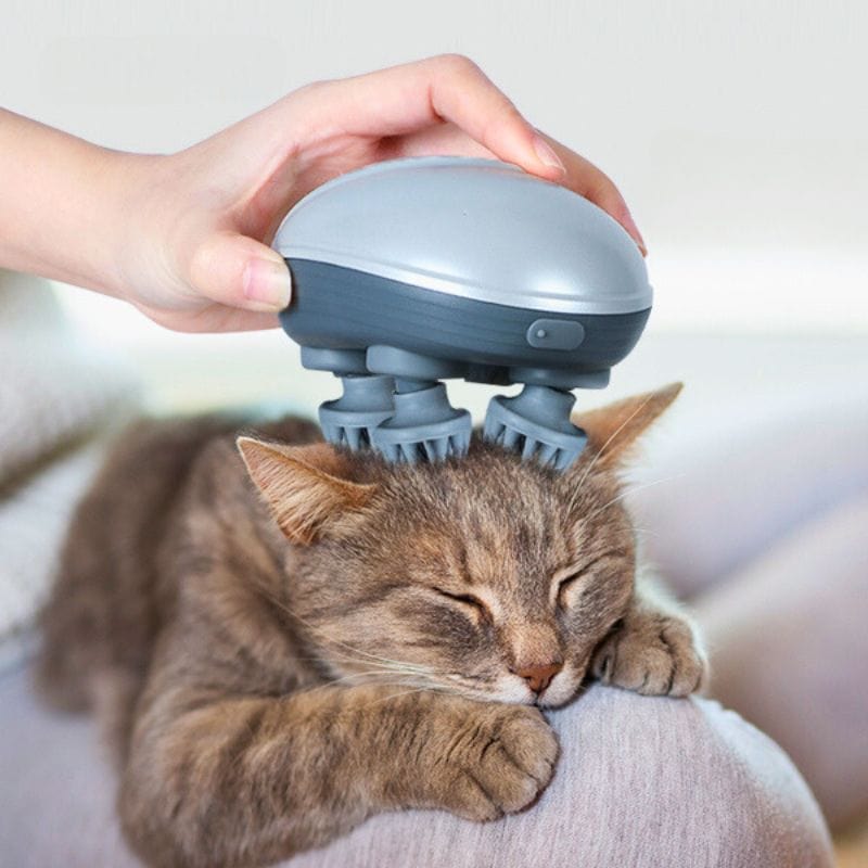 Relaxy™ Masseur crânien pour chat - Dynamishop