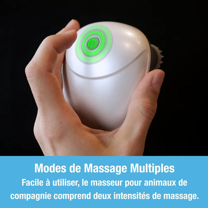 Relaxy™ Masseur crânien pour chat - Dynamishop